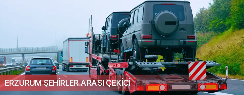 Erzurum İli Şehirler Arası Çekici